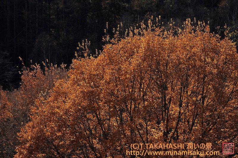 ../Images/7R251115 (150).jpg